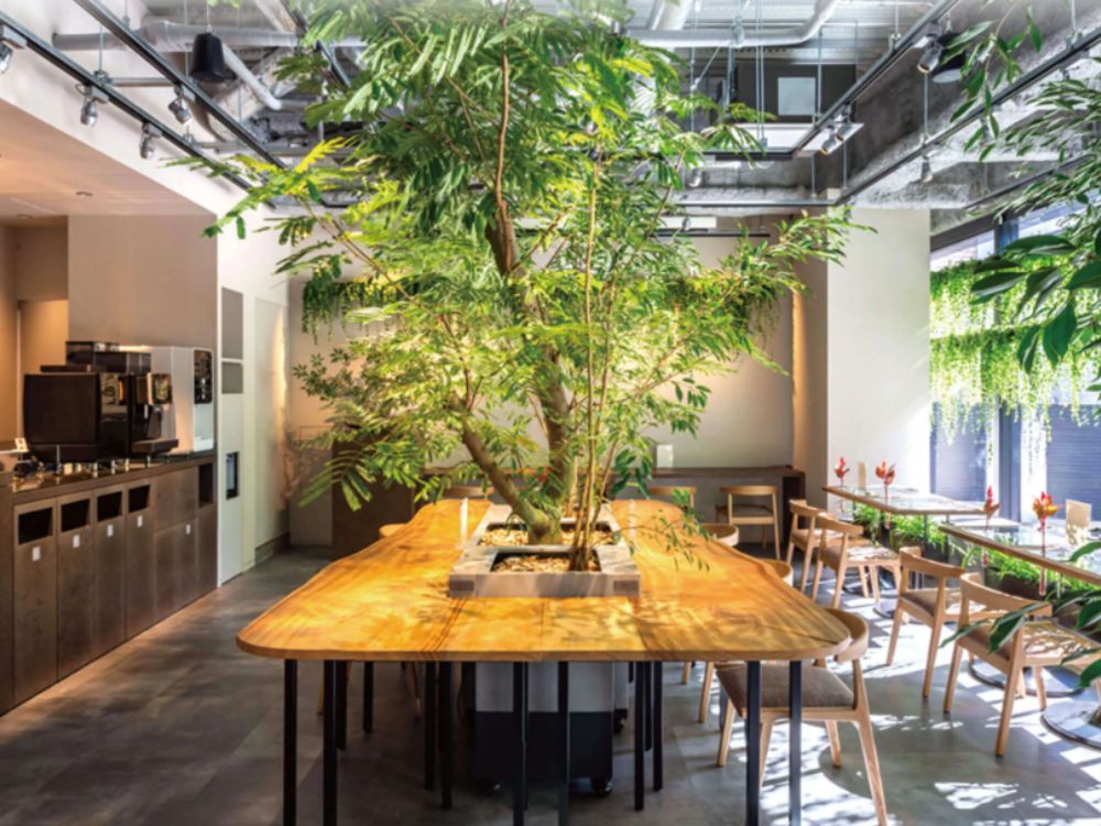 渋谷区神南のオフィス物件（渋谷駅徒歩7分）