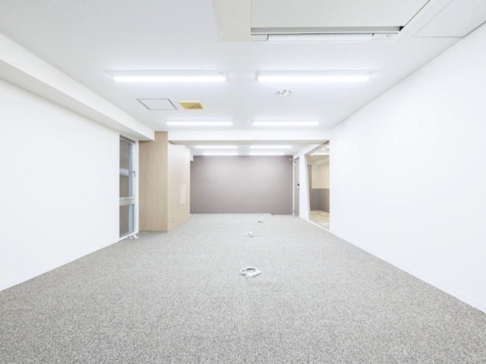 港区東新橋のセットアップオフィス物件（汐留駅徒歩2分、約30坪）